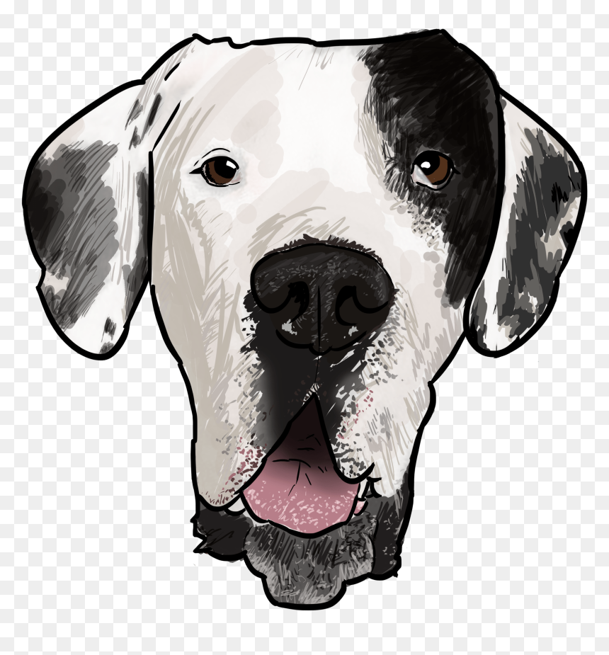 Dalmatian, HD Png Download - great dane png