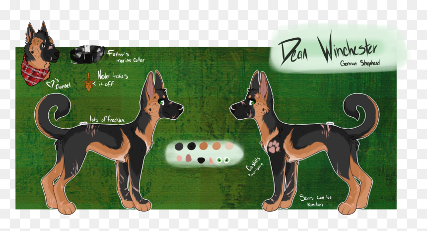 Picture - Old German Shepherd Dog, HD Png Download - sam winchester png