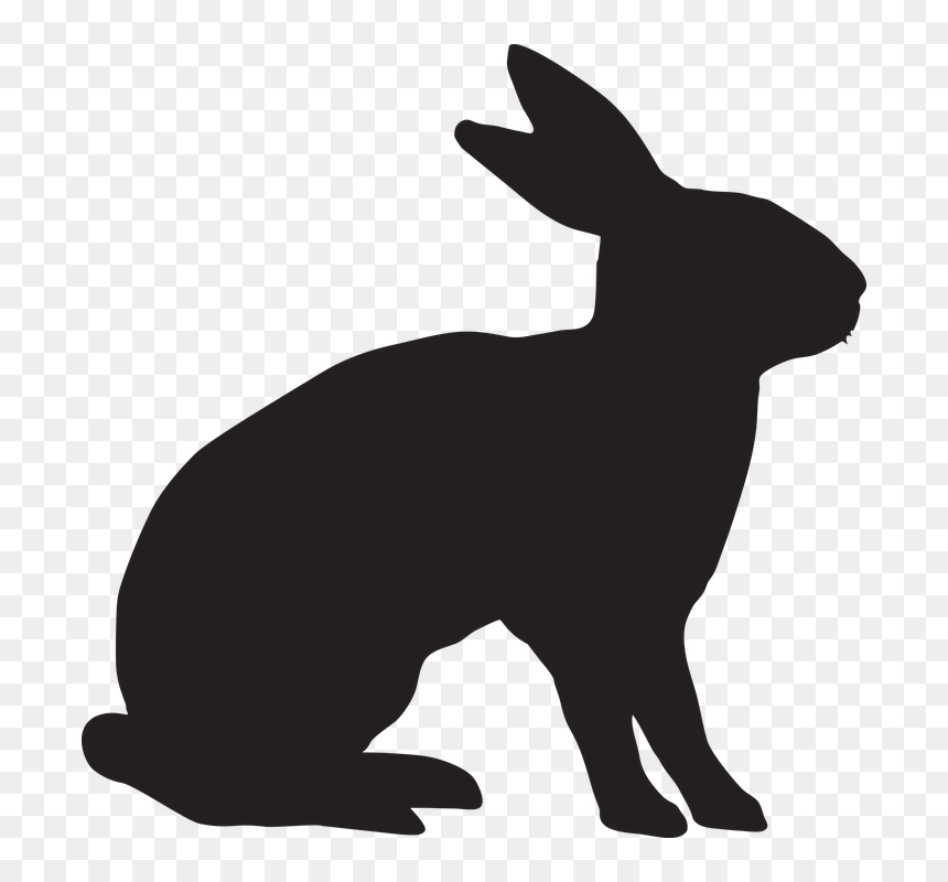 Food Allergy The Tale Of Peter Rabbit, HD Png Download - peter rabbit png