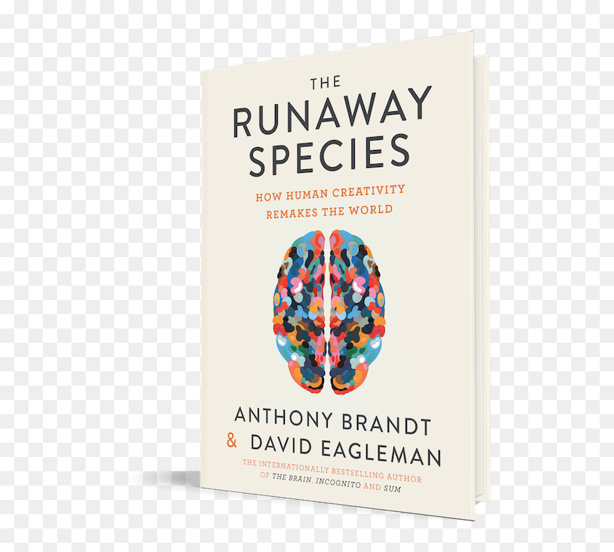 David Eagleman The Runaway Species, HD Png Download - creative brain png