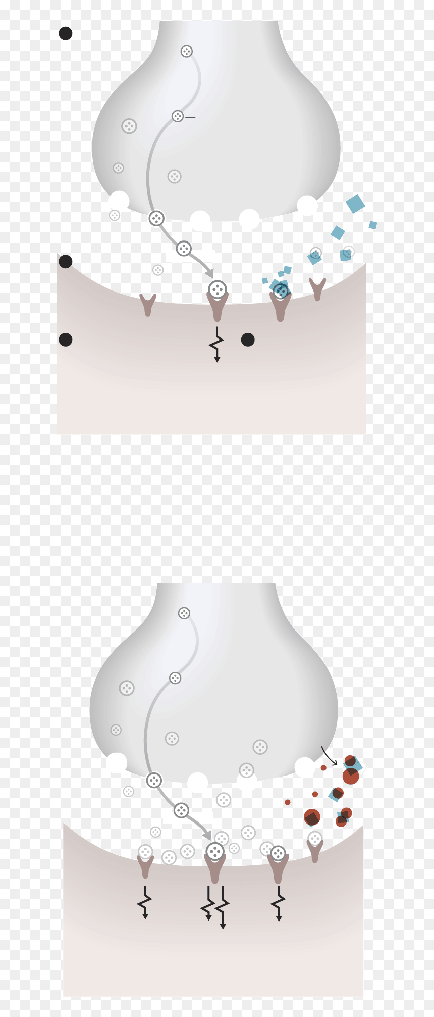Lampshade, HD Png Download - kim jong un face png