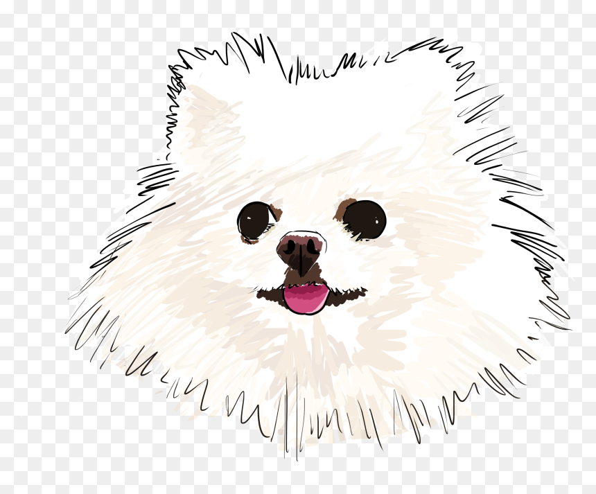 Pomeranian , Png Download - Dog Yawns, Transparent Png - pomeranian png