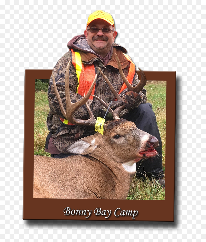 Trophy Hunting, HD Png Download - whitetail deer png