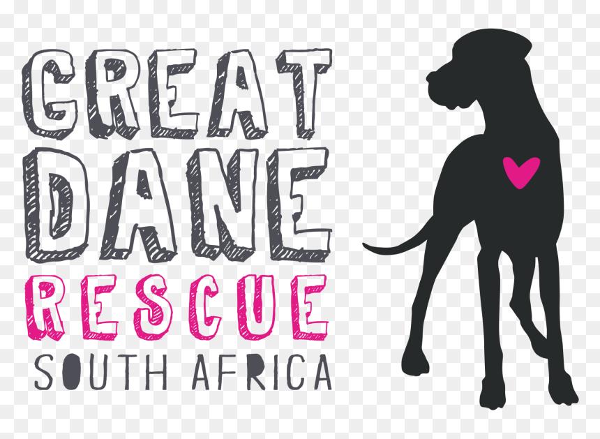Book Tickets For Great Dane Rescue South Africa Picnic - Amazon Surf, HD Png Download - great dane png