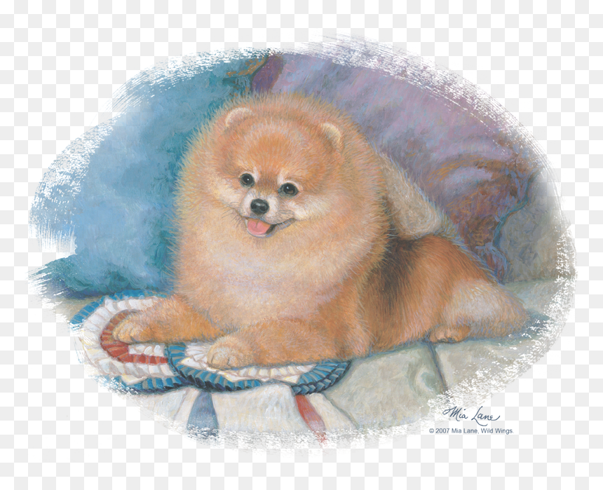 Wildlife Pomeranian Portrait Youth T Shirt - Pomeranian, HD Png Download - pomeranian png