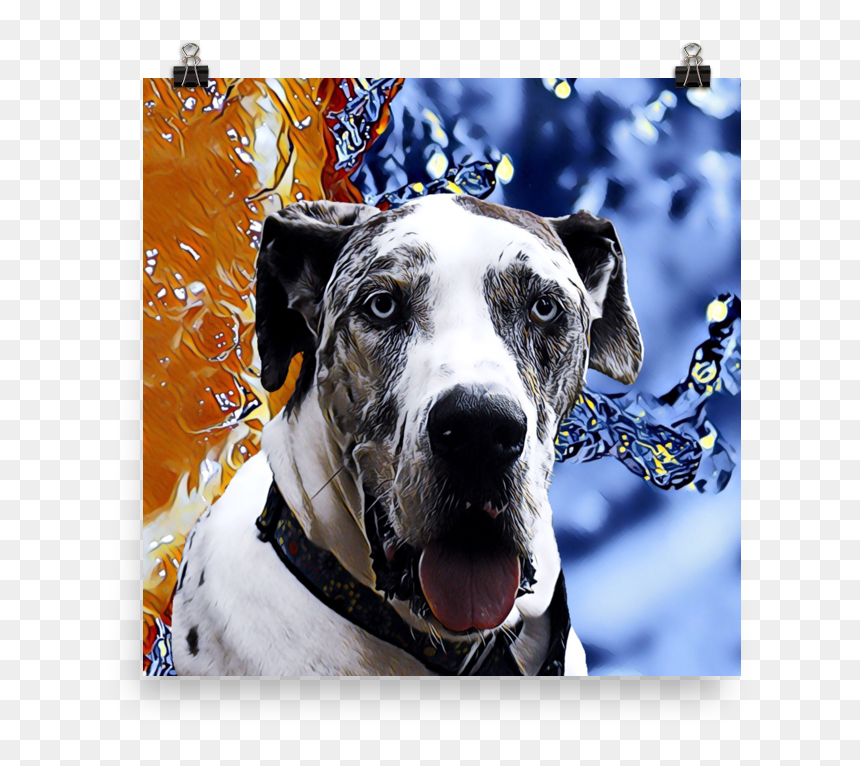 Great Dane Poster , Png Download - Great Dane, Transparent Png - great dane png