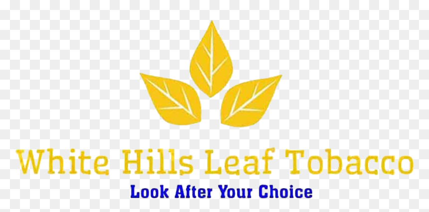 White Hills Leaf Tobacco - Graphics, HD Png Download - tobacco leaf png