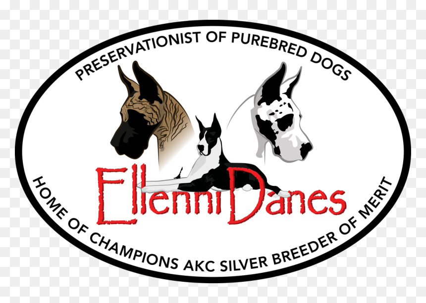Picture - Burro, HD Png Download - great dane png