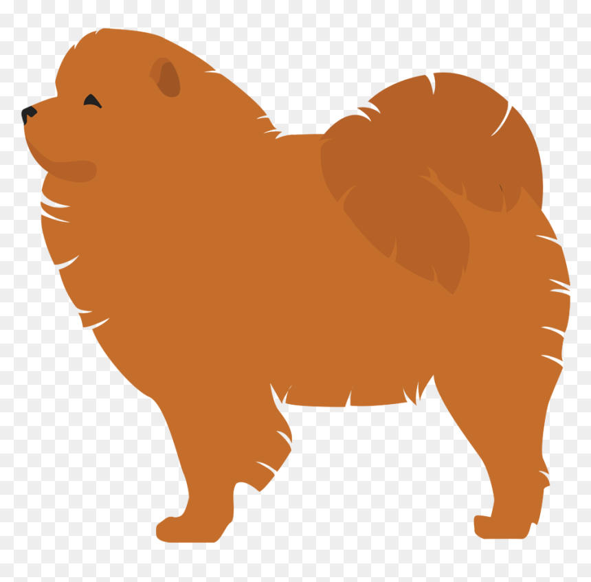 Pomeranian Finnish Spitz Dog Breed Komondor Puppy - Pomeranian, HD Png Download - pomeranian png