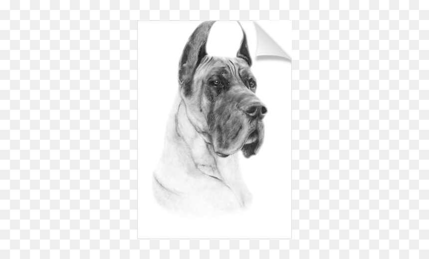 Giant Dog Breed, HD Png Download - great dane png