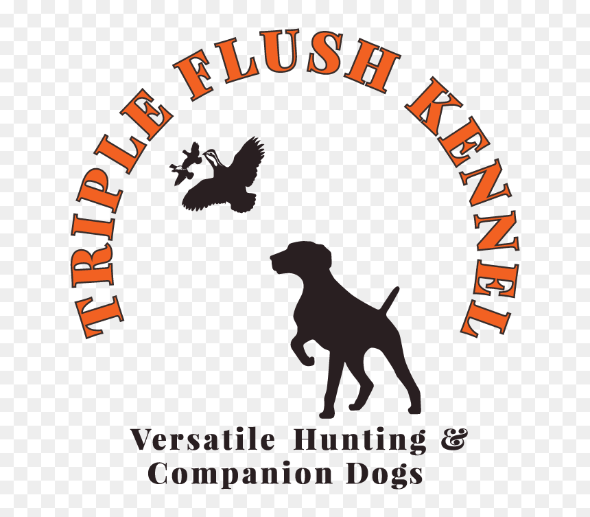 Tripleflushkennels Logo Main Tagline - Silhouette, HD Png Download - duck hunt dog png