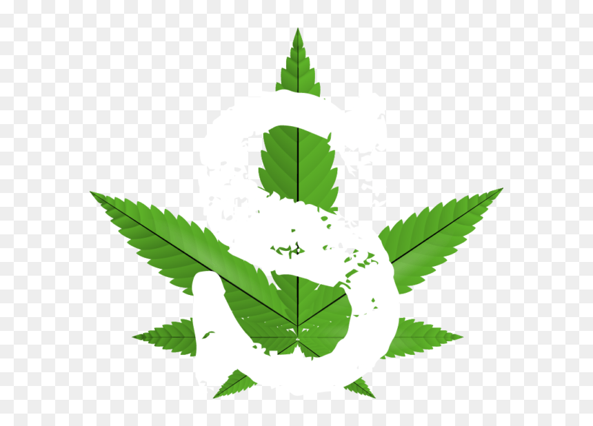 Smoks S Logo - Cannabis, HD Png Download - tobacco leaf png
