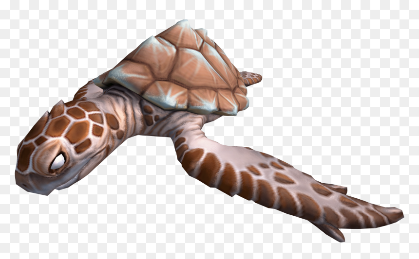 The Runescape Wiki - Hawksbill Sea Turtle, HD Png Download - turtles png