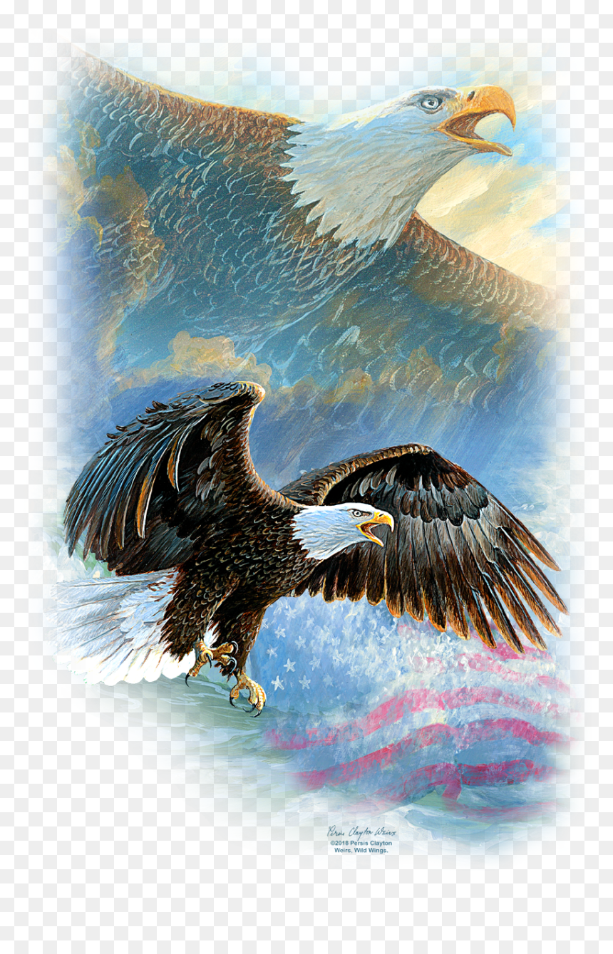 Product Image Alt - Seabird, HD Png Download - bald eagle head png