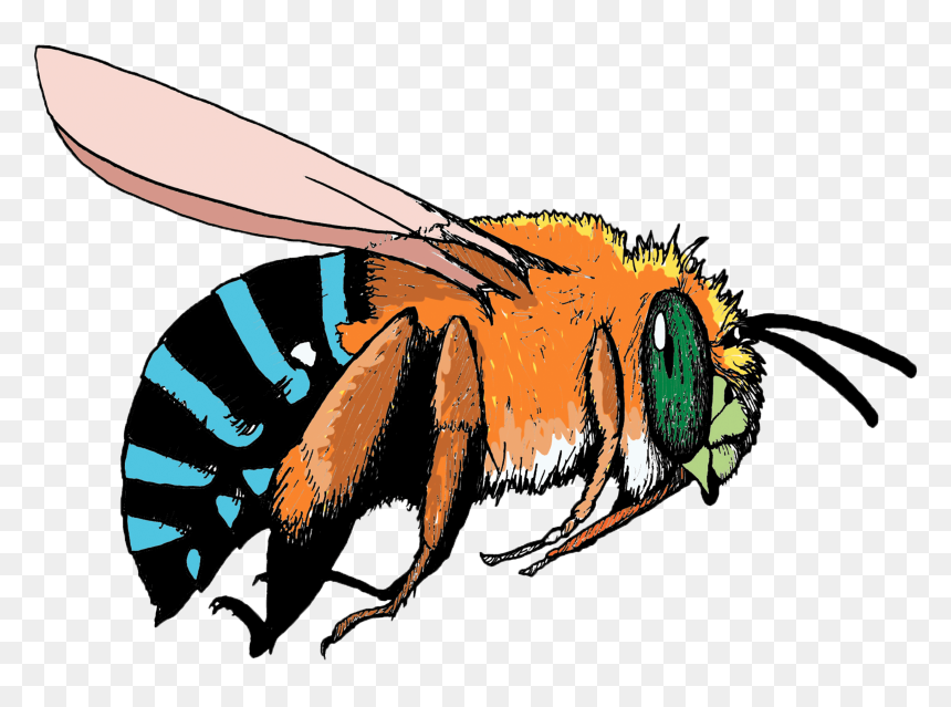 Blue And Orange Bee, Hd Png Download - Blue And Orange Bee, Transparent Png - bee emoji png