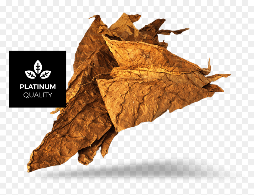 Tobacco Leaf Png, Transparent Png - tobacco leaf png