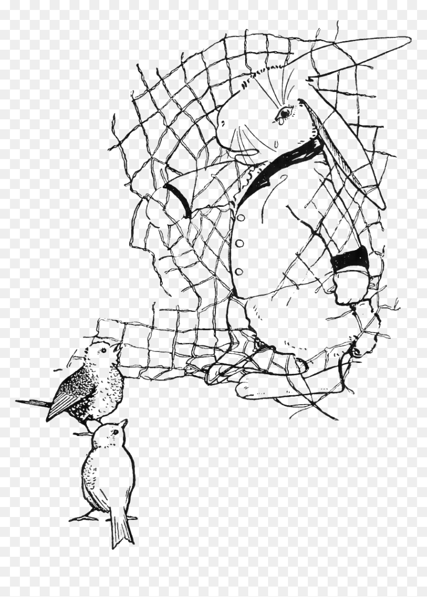 Peter Rabbit Albert 33 - Sketch, HD Png Download - peter rabbit png