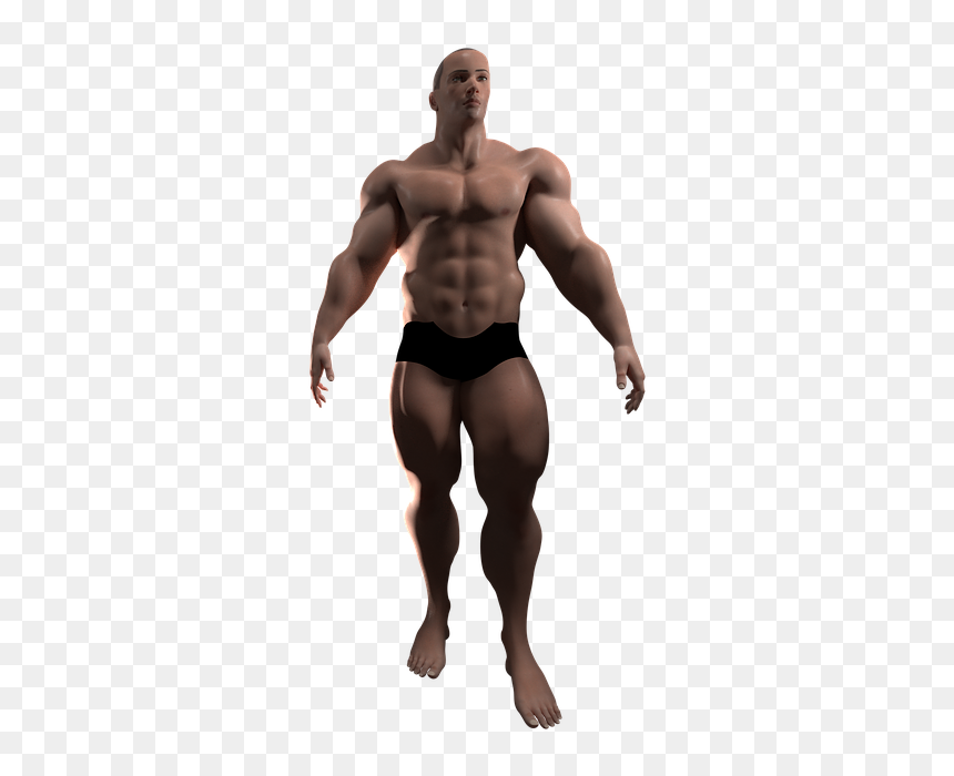 Bodybuilding, HD Png Download - muscles png
