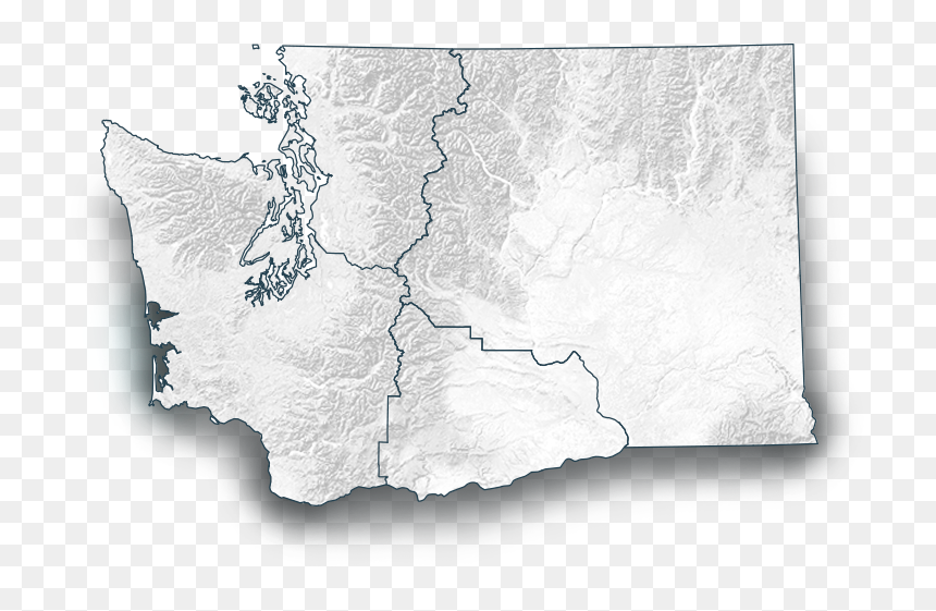 Cows Gotta Keep Their Cool - State Of Liberty Washington, HD Png Download - washington state png