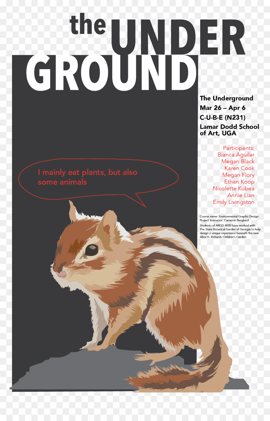 This Project Includes - Eastern Chipmunk, HD Png Download - chipmunk png