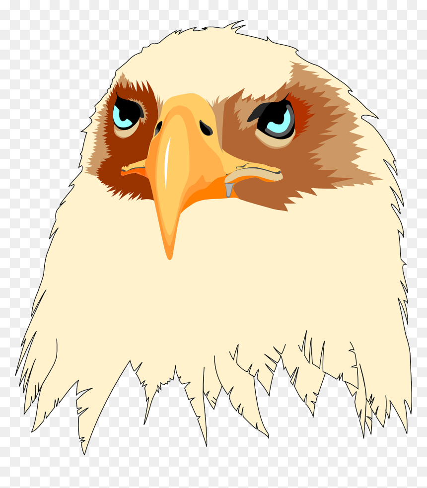 Patriotic American Bald Eagle, HD Png Download - bald eagle head png