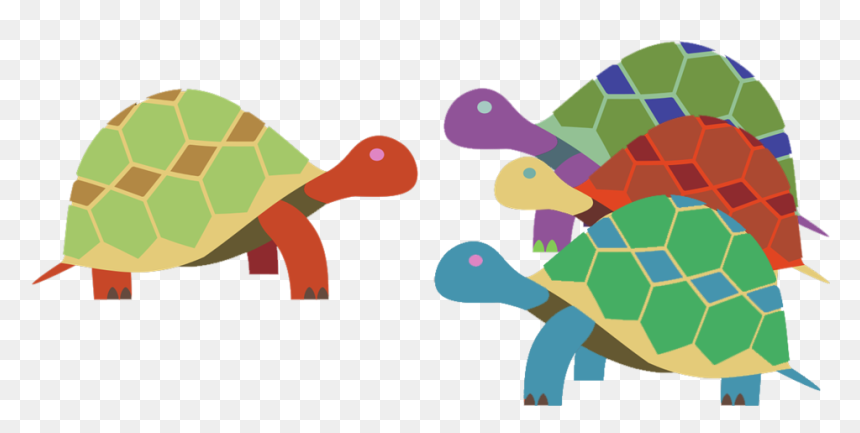 Trainer Turtles - Vector Graphics, HD Png Download - turtles png