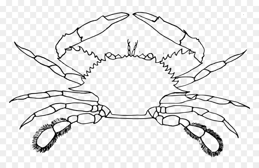 Art,symmetry,plant - Crab Clip Art Black And White, HD Png Download - blue crab png