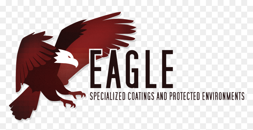 Bald Eagle , Png Download - Red-tailed Hawk, Transparent Png - bald eagle head png