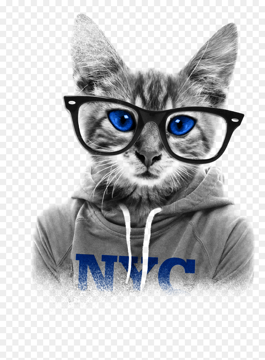 Cute Kitten Png, Transparent Png - cute kitten png