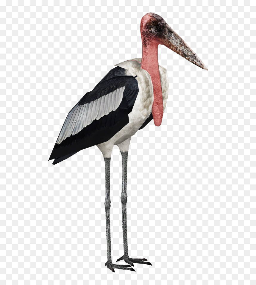 Stork Png High-quality Image - Marabou Stork Png, Transparent Png - stork png