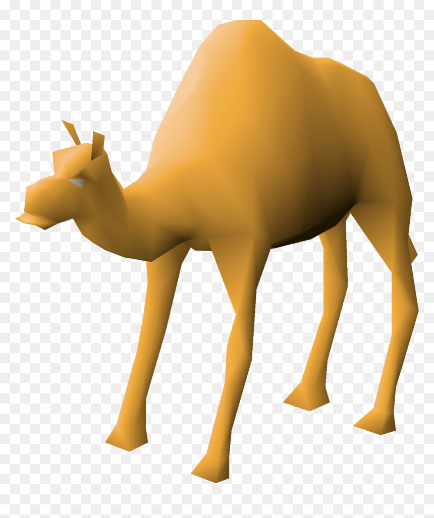 Ali The Camel, HD Png Download - ali a png