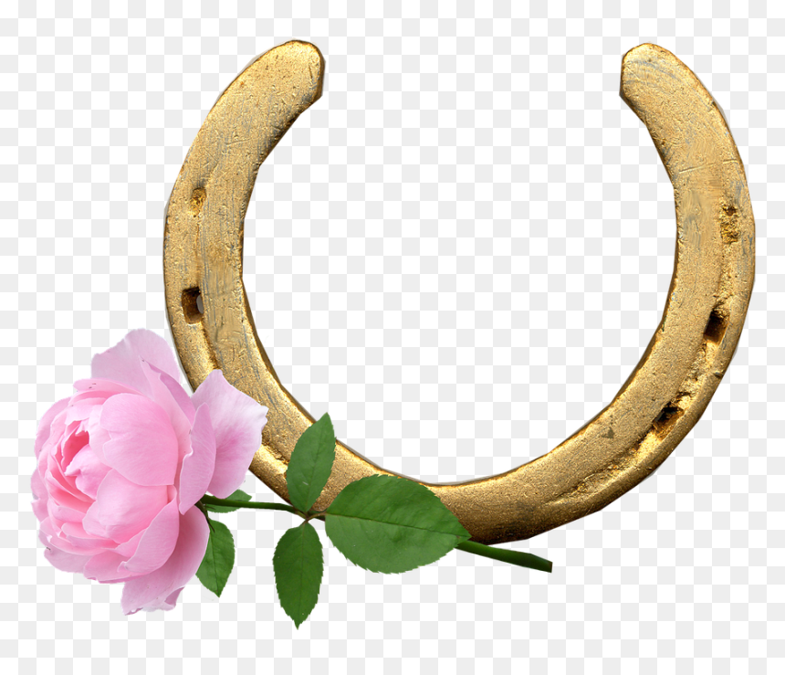 Multi Ani 29 Februarie, HD Png Download - horse shoe png