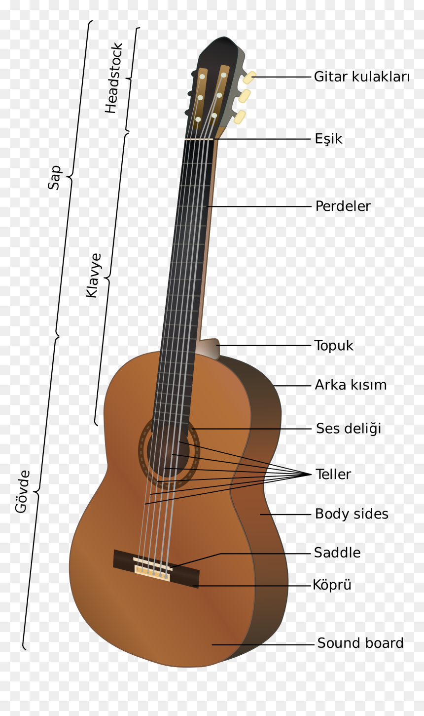 Partes De La Guitarra , Png Download - Acoustic Guitar Anatomy, Transparent Png - guitarra png