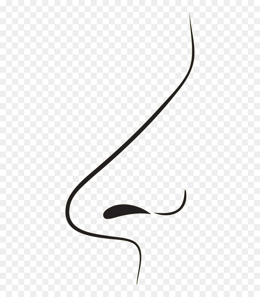 To Showcase How Years Of Hard Work, From A Selection, HD Png Download - hard work png