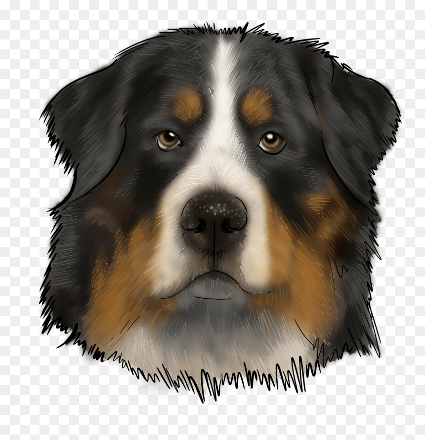 Bernese Mountain Dog, HD Png Download - duck hunt dog png