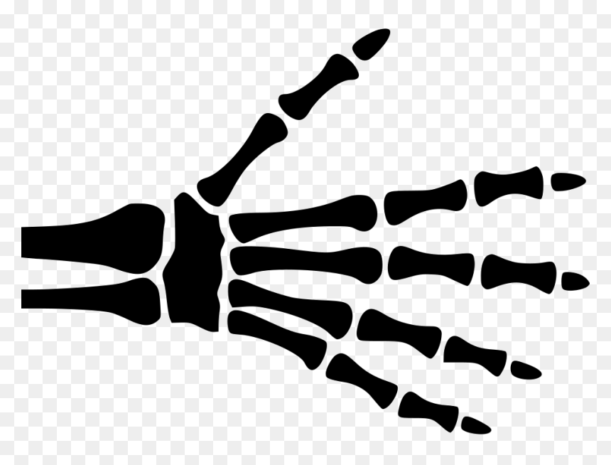 Hand Skeleton Comments - Skeletal Hand Clip Art, HD Png Download - skeleton hand png