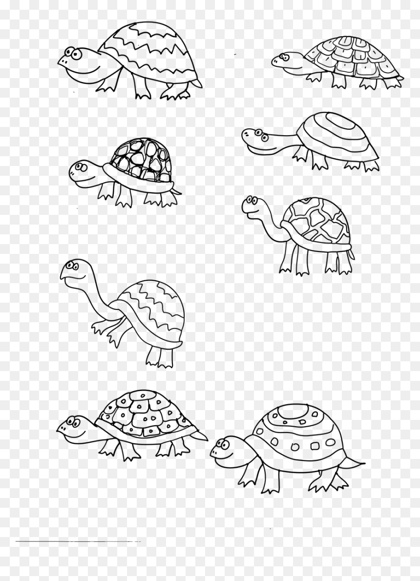 Dibujos De Tortugas Chiquitas, HD Png Download - turtles png