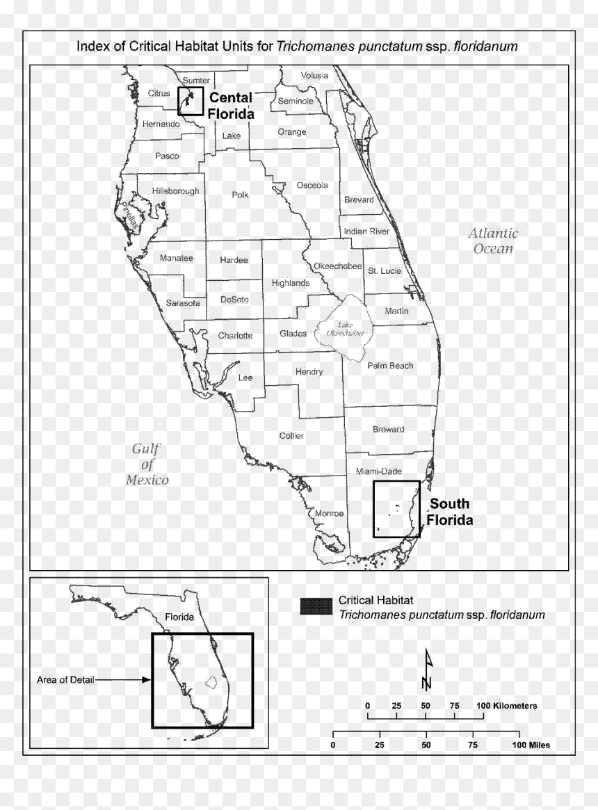 Diagram, HD Png Download - florida map outline png
