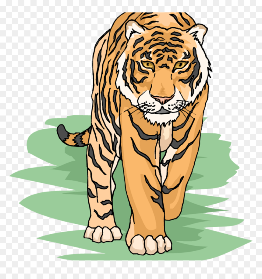 Free Tiger Clipart Snowflake Clipart Hatenylo - Siberian Tiger Clip Art, HD Png Download - tiger clipart png