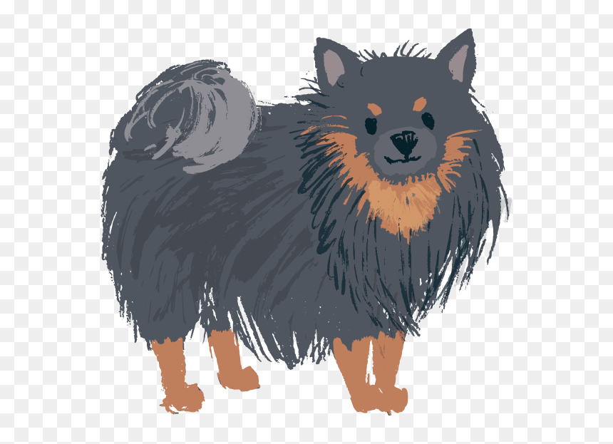 Pomeranian Black And Tan - Black Pomeranian Clipart, HD Png Download - pomeranian png