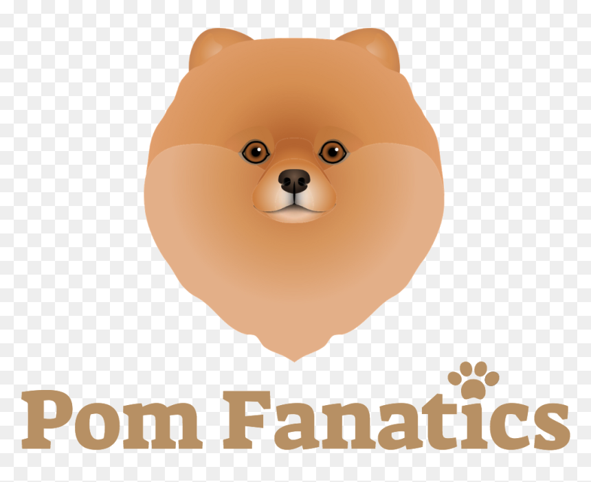 Dogs, Pomeranians, Dog Breeds, Doggies, Species Of - Pomeranian, HD Png Download - pomeranian png