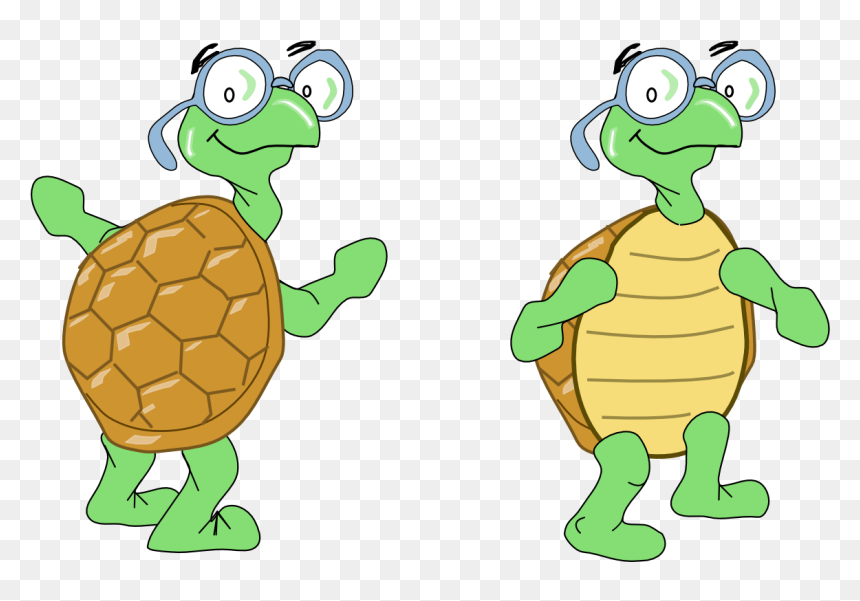 Transparent Standing Turtle, HD Png Download - turtles png