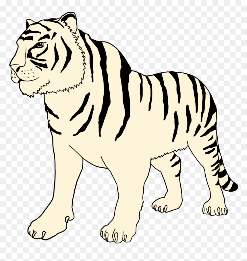 White Tiger Clipart - Bengal Tiger, HD Png Download - tiger clipart png