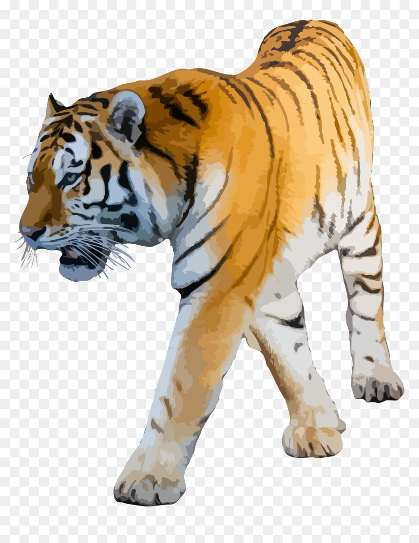 Clipart Png Tiger - Background Image Tiger Hd, Transparent Png - tiger clipart png