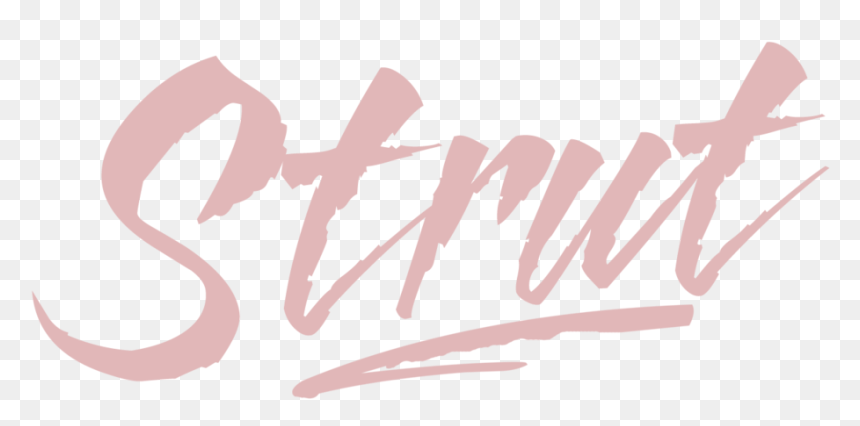 Foil Certificate Paper - Bad And Busted, HD Png Download - shining star png