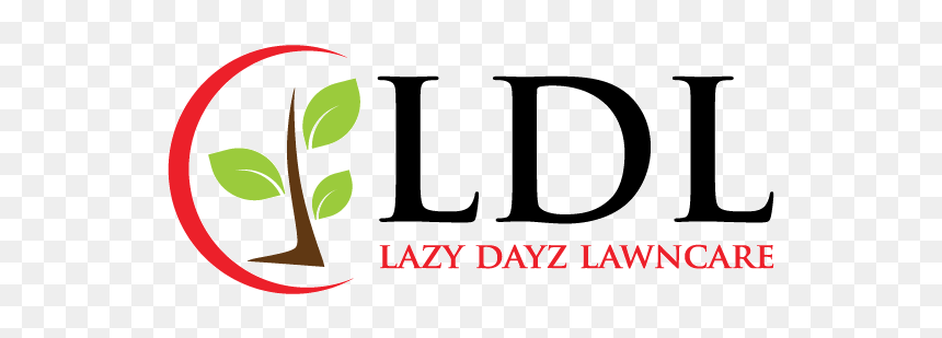 Graphics, HD Png Download - dayz logo png