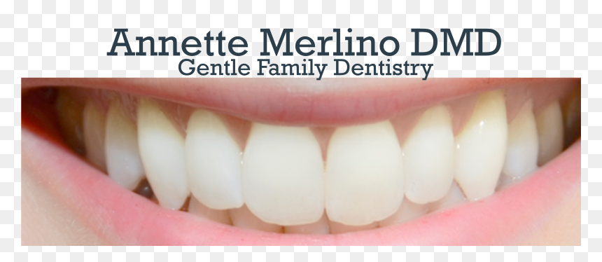 Annette Merlino, Dmd Logo - Tooth, HD Png Download - tooth outline png
