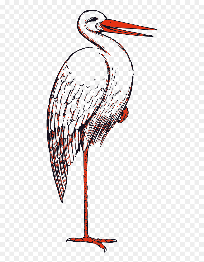 Stork Bird Svg Clip Arts - Stork Clip Art, HD Png Download - stork png