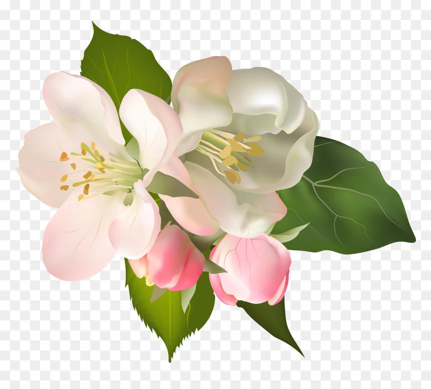 Blossom Png, Transparent Png - blossom png