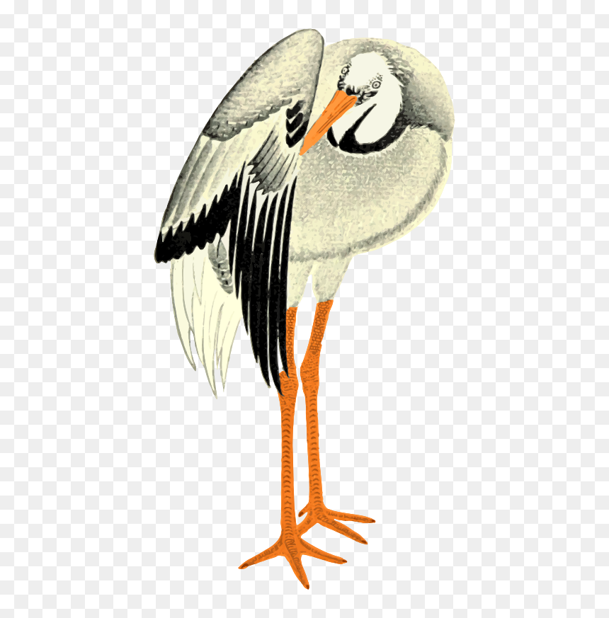 White Stork , Png Download - Stork, Transparent Png - stork png